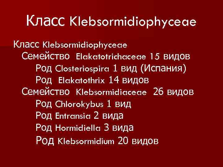 Класс Klebsormidiophyceae Семейство Elakatotrichaceae 15 видов Род Closteriospira 1 вид (Испания) Род Elakatothrix 14