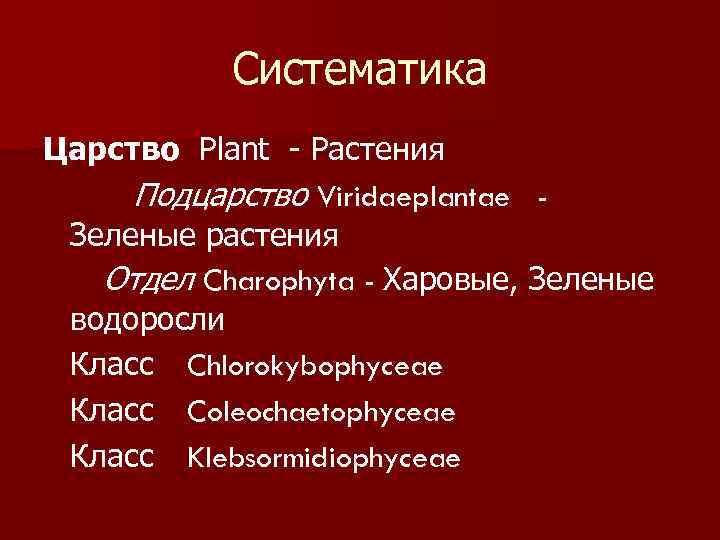 Систематика Царство Plant - Растения Подцарство Viridaeplantae Зеленые растения Отдел Charophyta - Харовые, Зеленые