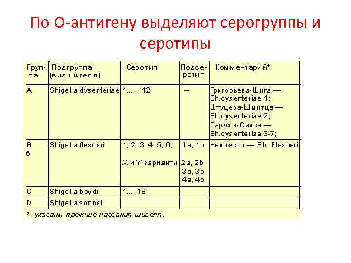 По О-антигену выделяют серогруппы и серотипы 