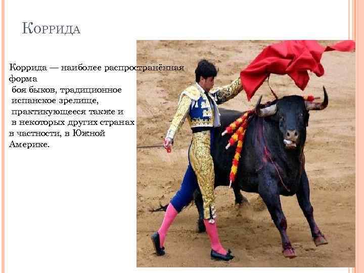 КОРРИДА Коррида — наиболее распространённая форма боя быков, традиционное испанское зрелище, практикующееся также и