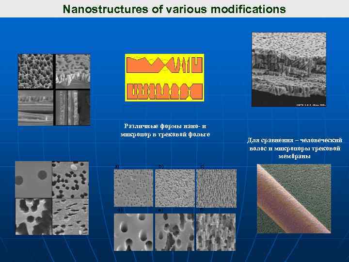 Nanostructures of various modifications Различные формы нано- и микропор в трековой фольге а) d)