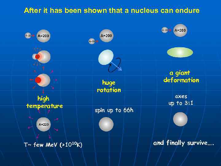 After it has been shown that a nucleus can endure high temperature T~ few