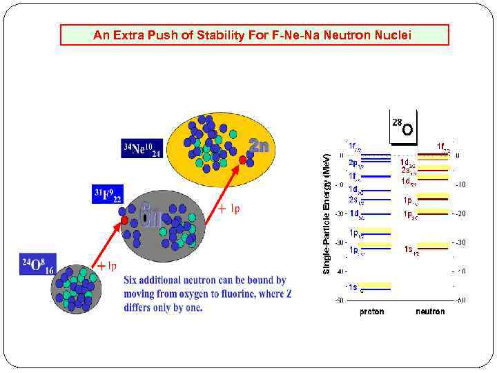  An Extra Push of Stability For F-Ne-Na Neutron Nuclei 