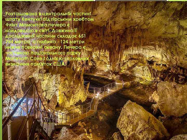Розташована в центральній частині штату Кентуккі під гірським хребтом Флінт Мамонтова печера є найдовшою