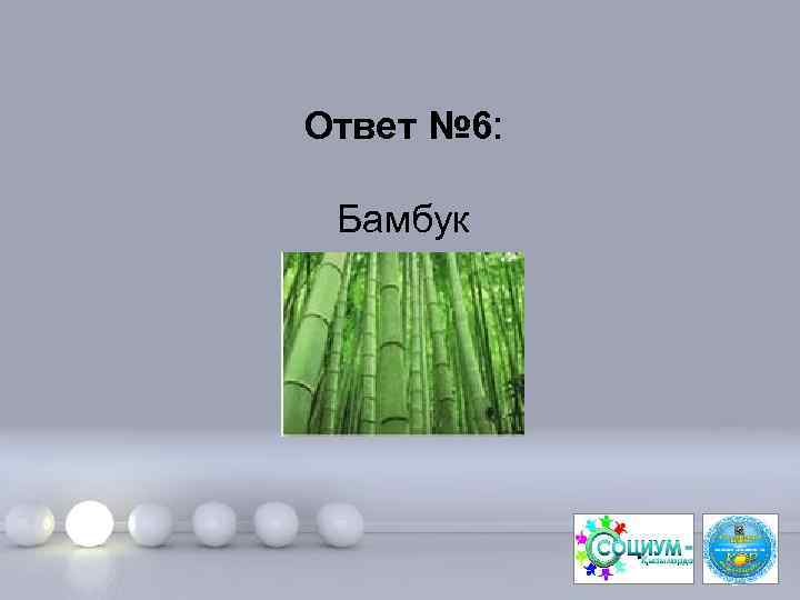 Ответ № 6: Бамбук Page 13 