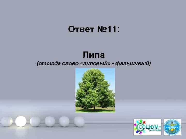 Ответ № 11: Липа (отсюда слово «липовый» - фальшивый) Page 23 