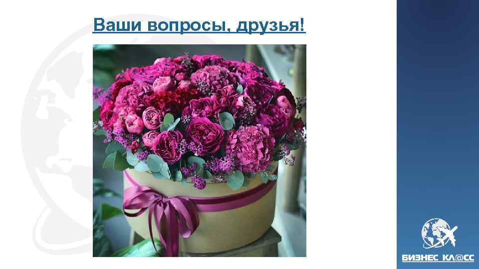 Ваши вопросы, друзья! 