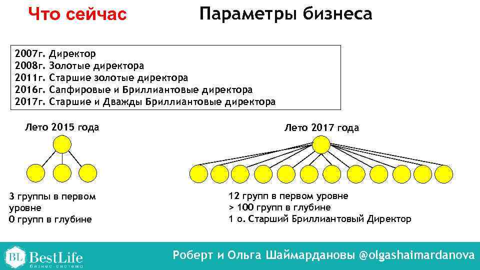 Что сейчас 2007 г. 2008 г. 2011 г. 2016 г. 2017 г. Параметры бизнеса