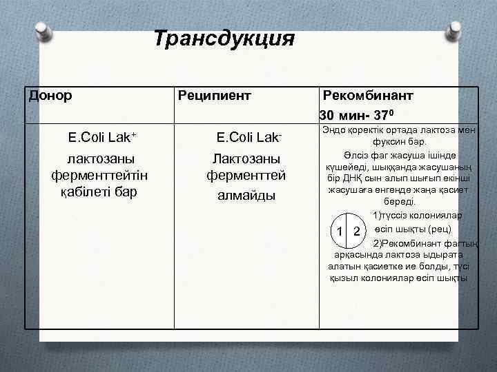 Трансдукция Донор Реципиент E. Coli Lak+ E. Coli Lak- лактозаны ферменттейтін қабілеті бар Лактозаны