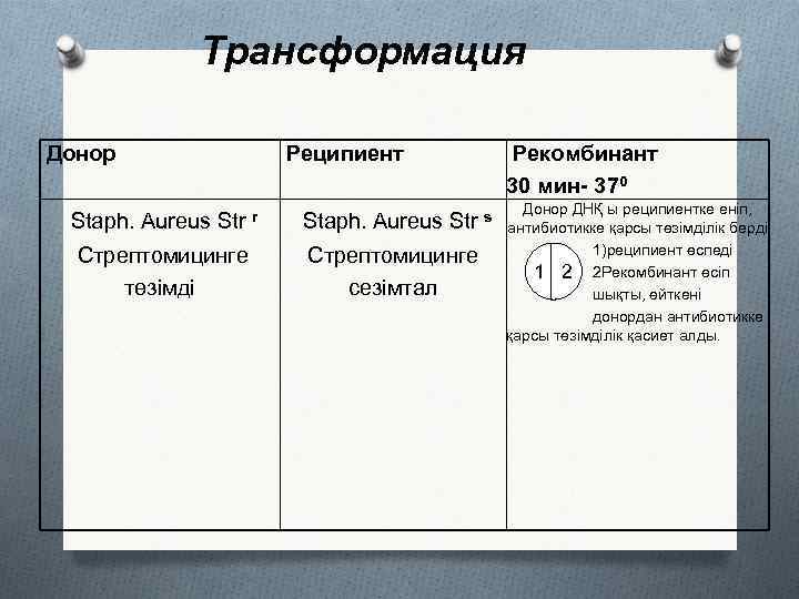 Трансформация Донор Реципиент Staph. Aureus Str r Staph. Aureus Str s Стрептомицинге төзімді Стрептомицинге