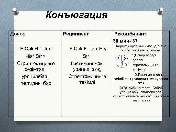 Конъюгация Донор Реципиент E. Coli Hfr Ura+ E. Coli F- Ura- His+ Str s