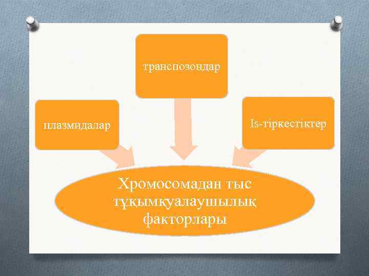 транспозондар плазмидалар Is-тіркестіктер Хромосомадан тыс тұқымқуалаушылық факторлары 
