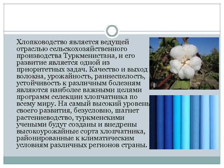  Хлопководство является ведущей отраслью сельскохозяйственного производства Туркменистана, и его развитие является одной из