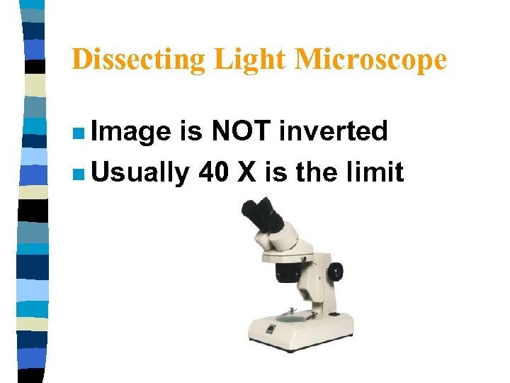 Dissecting Light Microscope n Image is NOT inverted n Usually 40 X is the