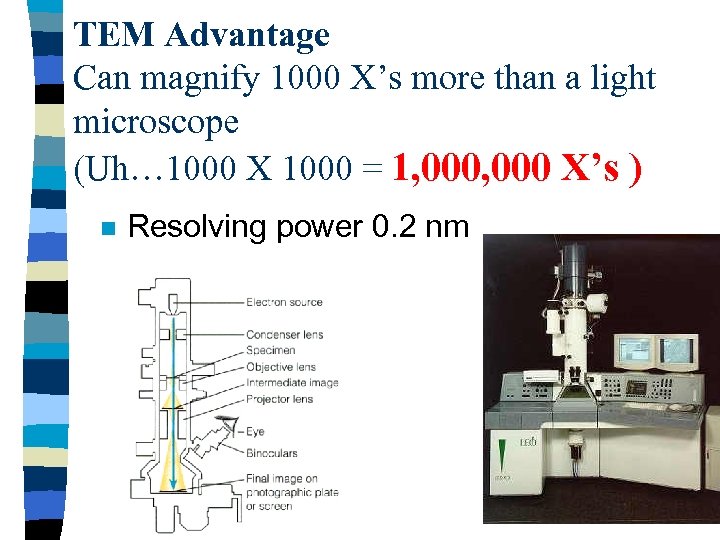 TEM Advantage Can magnify 1000 X’s more than a light microscope (Uh… 1000 X