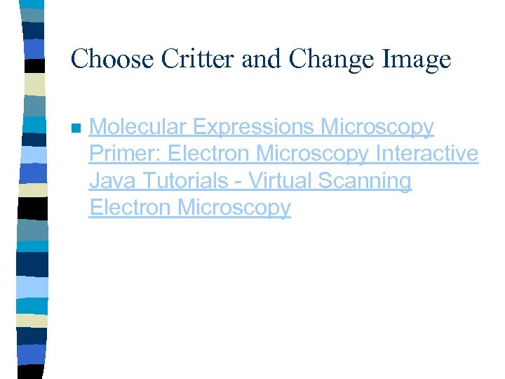 Choose Critter and Change Image n Molecular Expressions Microscopy Primer: Electron Microscopy Interactive Java