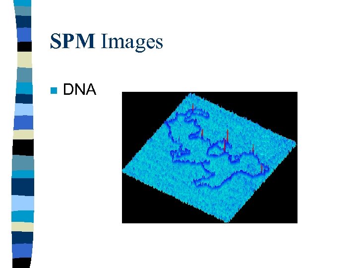 SPM Images n DNA 