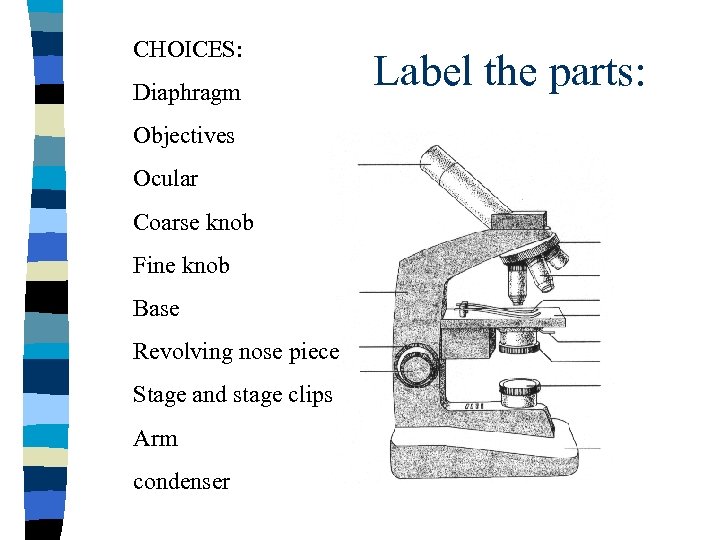 CHOICES: Diaphragm Objectives Ocular Coarse knob Fine knob Base Revolving nose piece Stage and