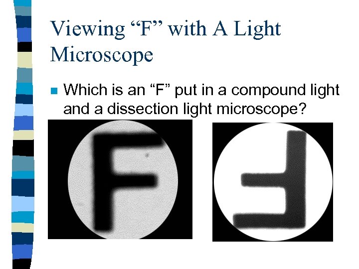 Viewing “F” with A Light Microscope n Which is an “F” put in a