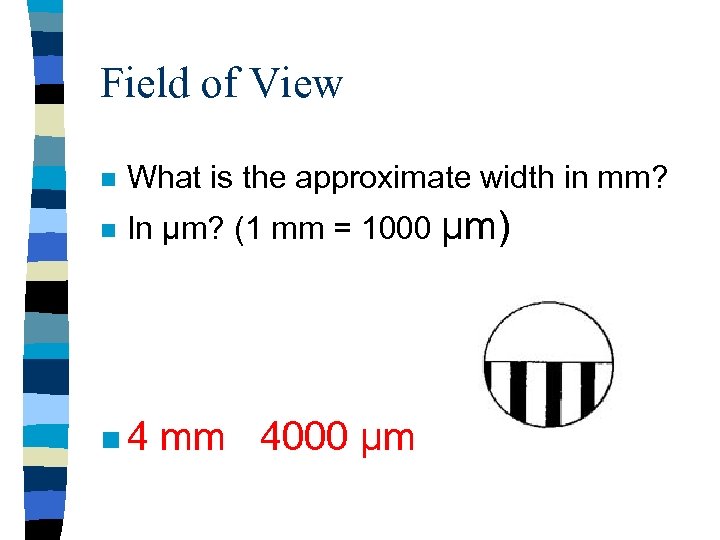 Field of View n What is the approximate width in mm? n In µm?