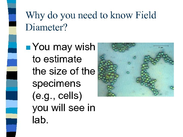 Why do you need to know Field Diameter? n You may wish to estimate