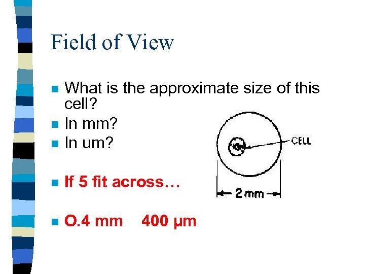 Field of View n What is the approximate size of this cell? In mm?