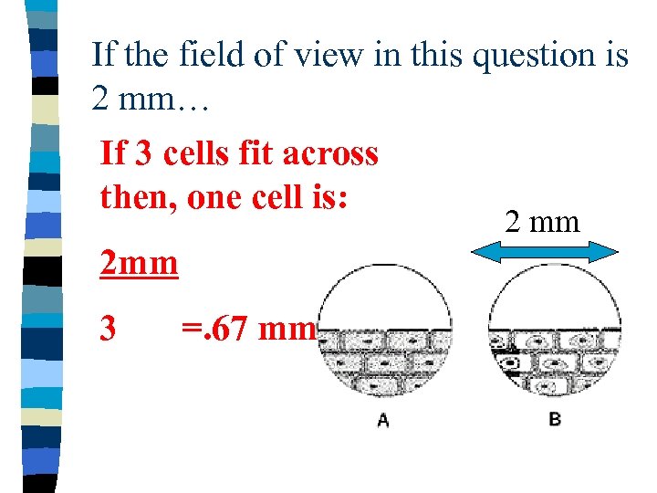 If the field of view in this question is 2 mm… If 3 cells