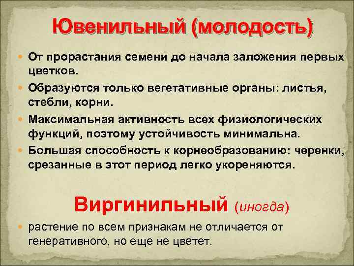 Ювенильный (молодость) От прорастания семени до начала заложения первых цветков. Образуются только вегетативные органы: