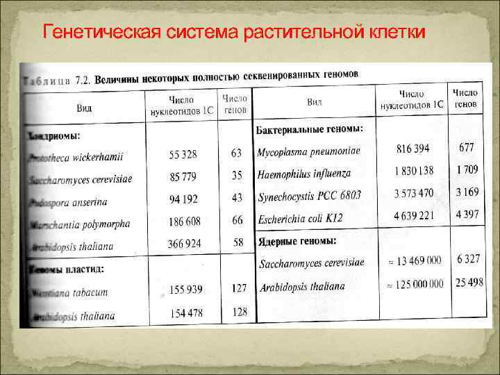 Генетическая система растительной клетки 