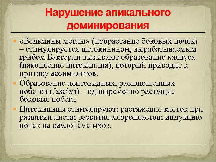 Нарушение апикального доминирования «Ведьмины метлы» (прорастание боковых почек) – стимулируется цитокинином, вырабатываемым грибом Бактерии