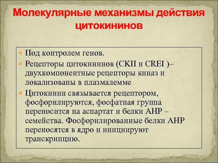 Молекулярные механизмы действия цитокининов Под контролем генов. Рецепторы цитокининов (СKII и CREI )– двухкомпонентные