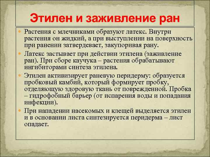 Этилен и заживление ран Растения с млечниками образуют латекс. Внутри растения он жидкий, а