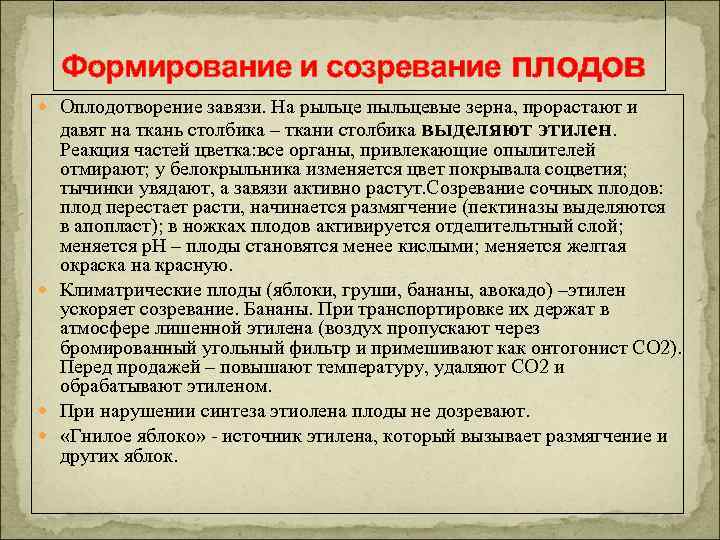 Созревает зародыш. Созревание плодов. Этилен ускоряет созревание плодов. Дозревание плодов Этилен.