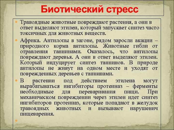 Биотический стресс Травоядные животные повреждают растения, а они в ответ выделяют этилен, который запускает