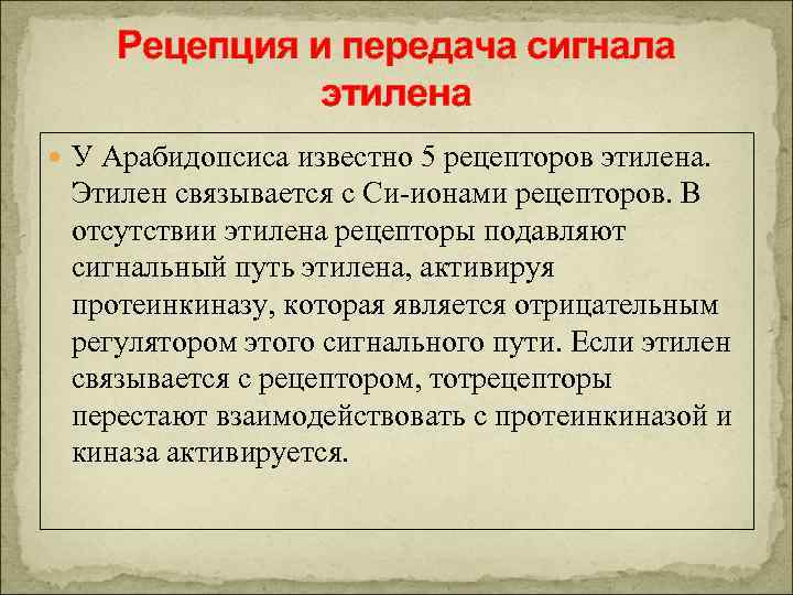 Рецепция и передача сигнала этилена У Арабидопсиса известно 5 рецепторов этилена. Этилен связывается с