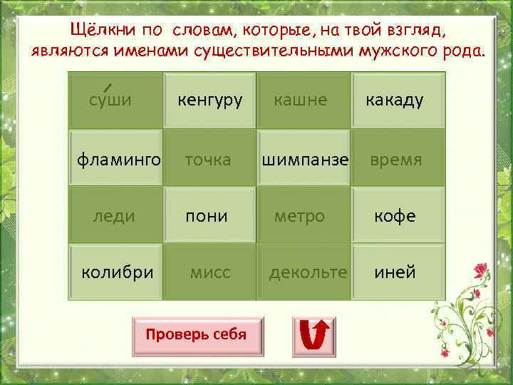 Щёлкни по словам, которые, на твой взгляд, являются именами существительными мужского рода. суши кенгуру