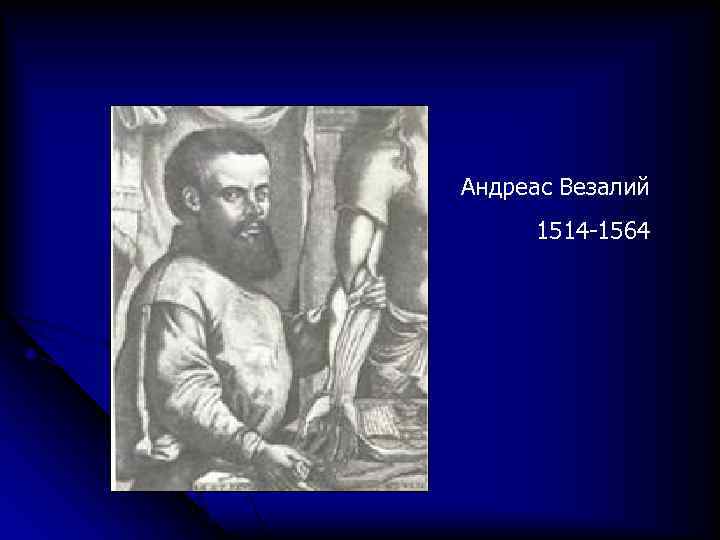 Андреас Везалий 1514 -1564 