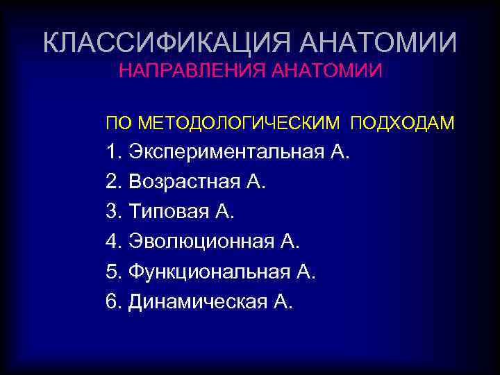 КЛАССИФИКАЦИЯ АНАТОМИИ НАПРАВЛЕНИЯ АНАТОМИИ ПО МЕТОДОЛОГИЧЕСКИМ ПОДХОДАМ 1. Экспериментальная А. 2. Возрастная А. 3.
