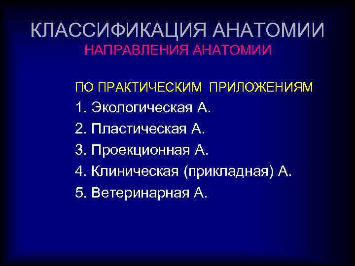 КЛАССИФИКАЦИЯ АНАТОМИИ НАПРАВЛЕНИЯ АНАТОМИИ ПО ПРАКТИЧЕСКИМ ПРИЛОЖЕНИЯМ 1. Экологическая А. 2. Пластическая А. 3.