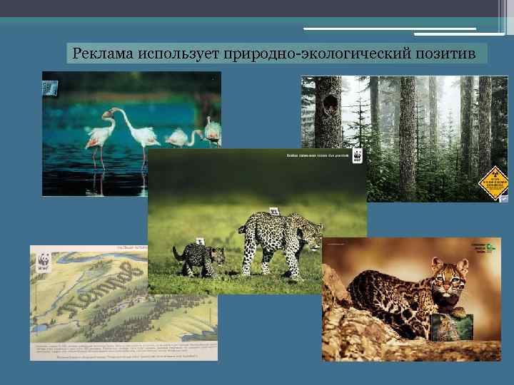 Реклама использует природно-экологический позитив 