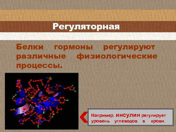 Регуляторная Белки гормоны регулируют различные физиологические процессы. Например, инсулин регулирует уровень углеводов в крови.