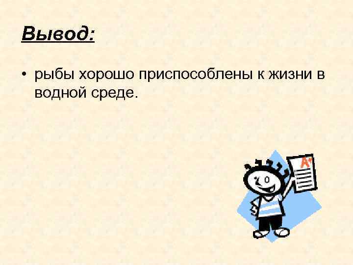 Вывод: • рыбы хорошо приспособлены к жизни в водной среде. 