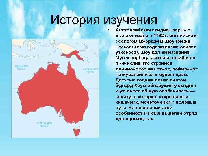 История изучения • Австралийская ехидна впервые была описана в 1792 г. английским зоологом Джорджем
