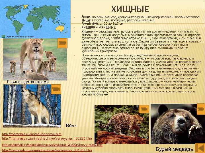 ХИЩНЫЕ • • Львица с детенышами Ареал: по всей планете, кроме Антарктики и некоторых