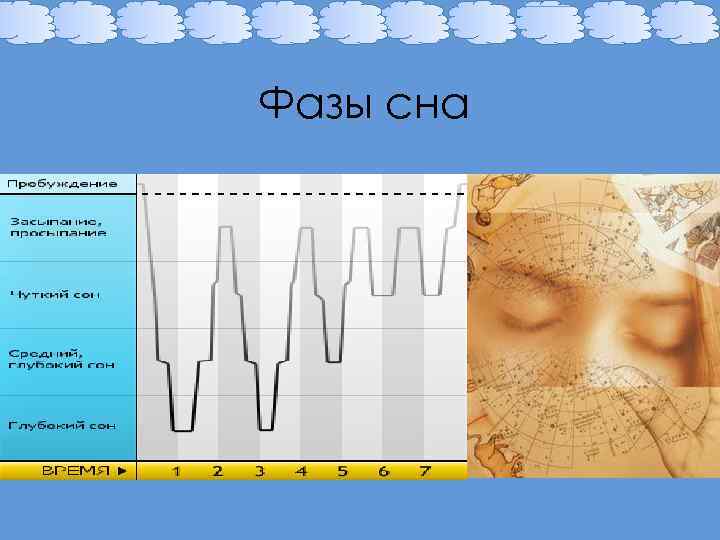 Фазы сна 