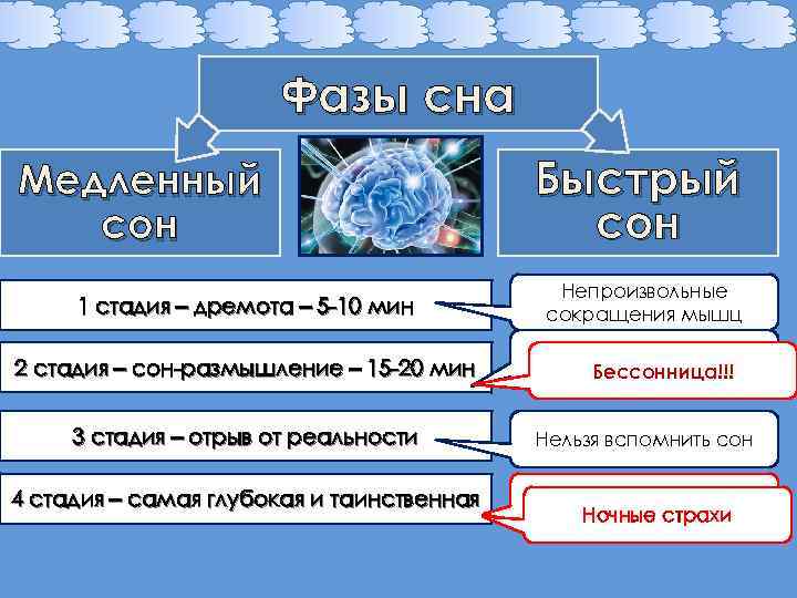 Фазы сна Медленный сон Быстрый сон 1 стадия – дремота – 5 -10 мин
