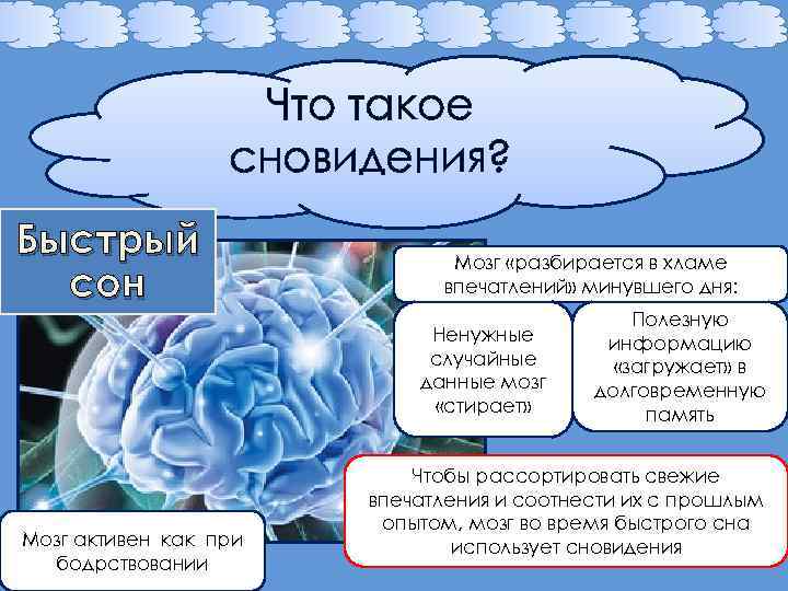 Что такое сновидения? Быстрый сон Мозг «разбирается в хламе впечатлений» минувшего дня: Ненужные случайные