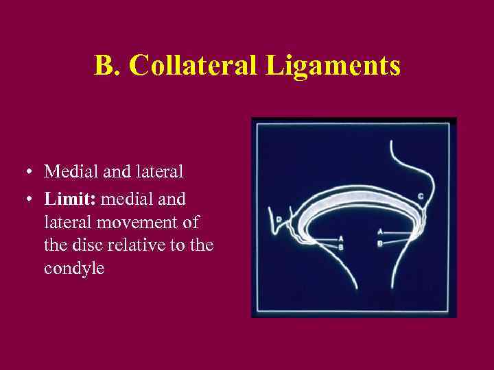 B. Collateral Ligaments • Medial and lateral • Limit: medial and lateral movement of