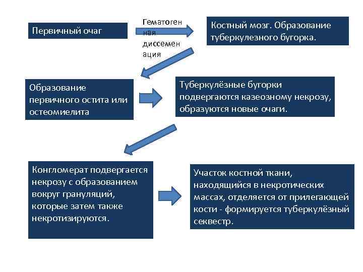 Первичный очаг Гематоген ная диссемен ация Образование первичного остита или остеомиелита Конгломерат подвергается некрозу