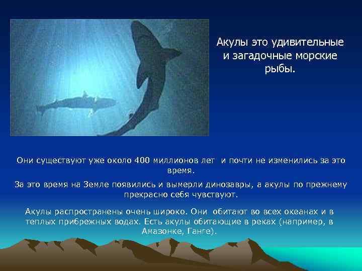 Акулы это удивительные и загадочные морские рыбы. Они существуют уже около 400 миллионов лет